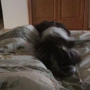 Meet your Posher, Luanne